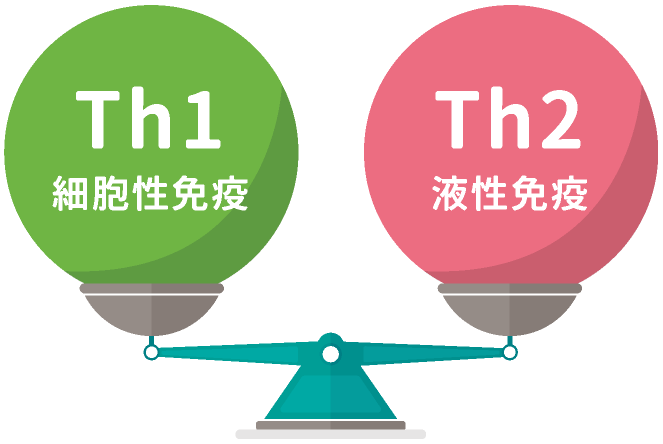 Th1（細胞性免疫）Th2（液性免疫）